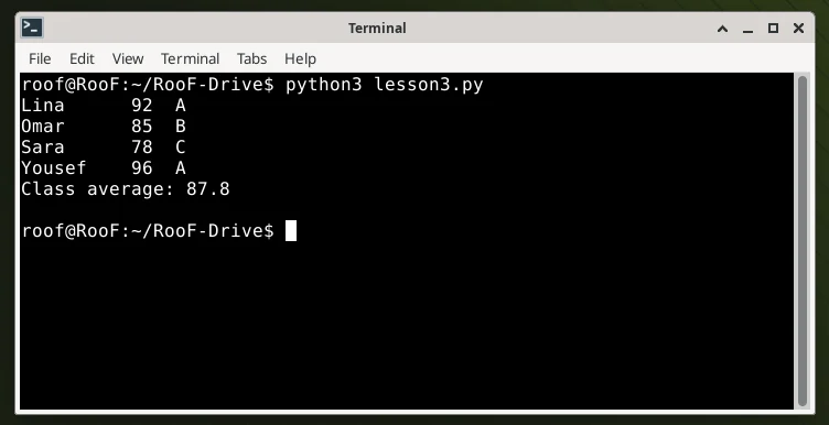 طرفية حقيقية في جهاز RooF تشغّل برنامج Python